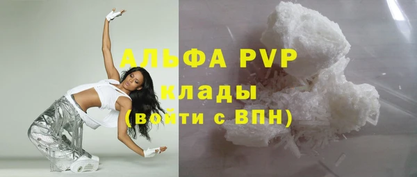 сатива Няндома