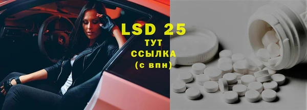 сатива Няндома