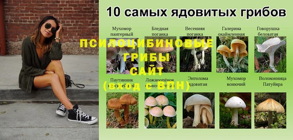 сатива Няндома
