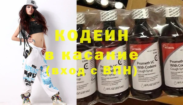 сатива Няндома