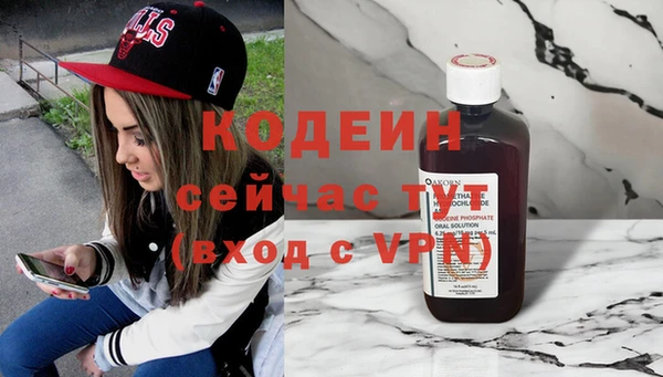 сатива Няндома