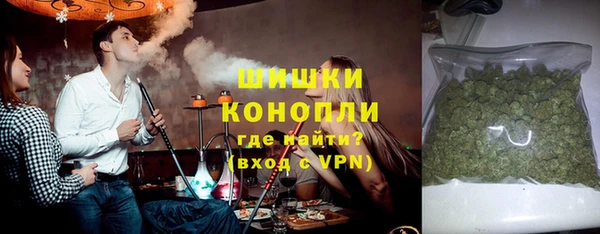 сатива Няндома