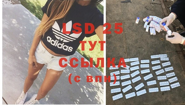 сатива Няндома